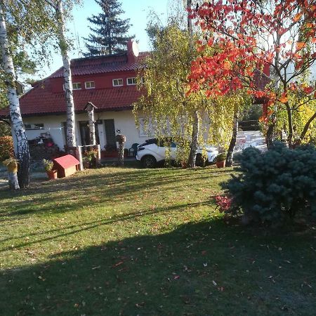 Villa Blanka Horní Podkozí Eksteriør billede