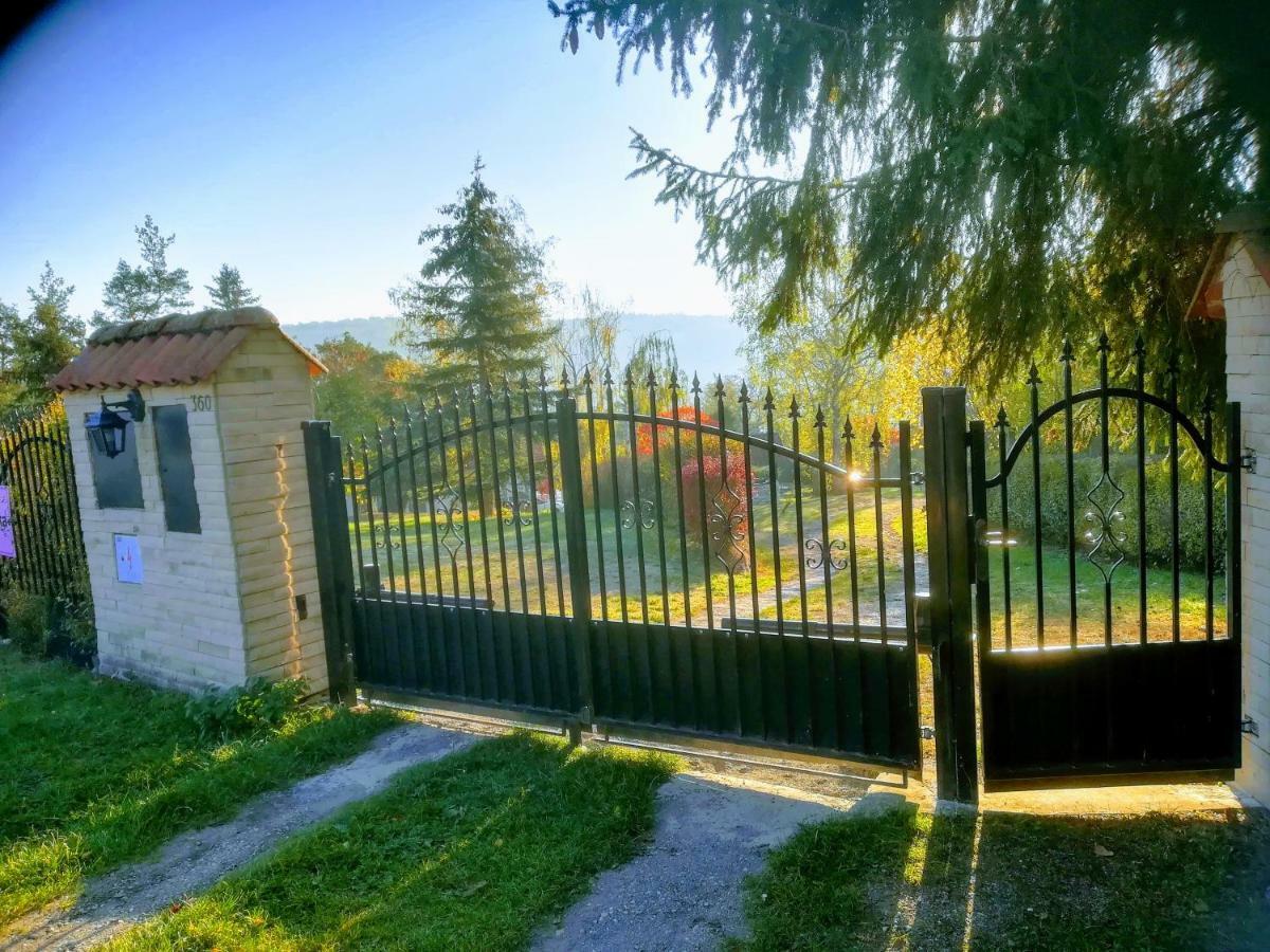 Villa Blanka Horní Podkozí Eksteriør billede