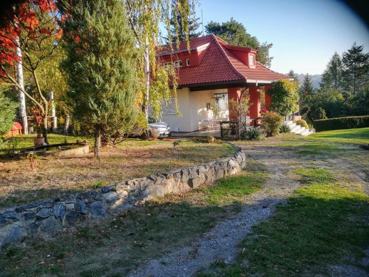 Villa Blanka Horní Podkozí Eksteriør billede