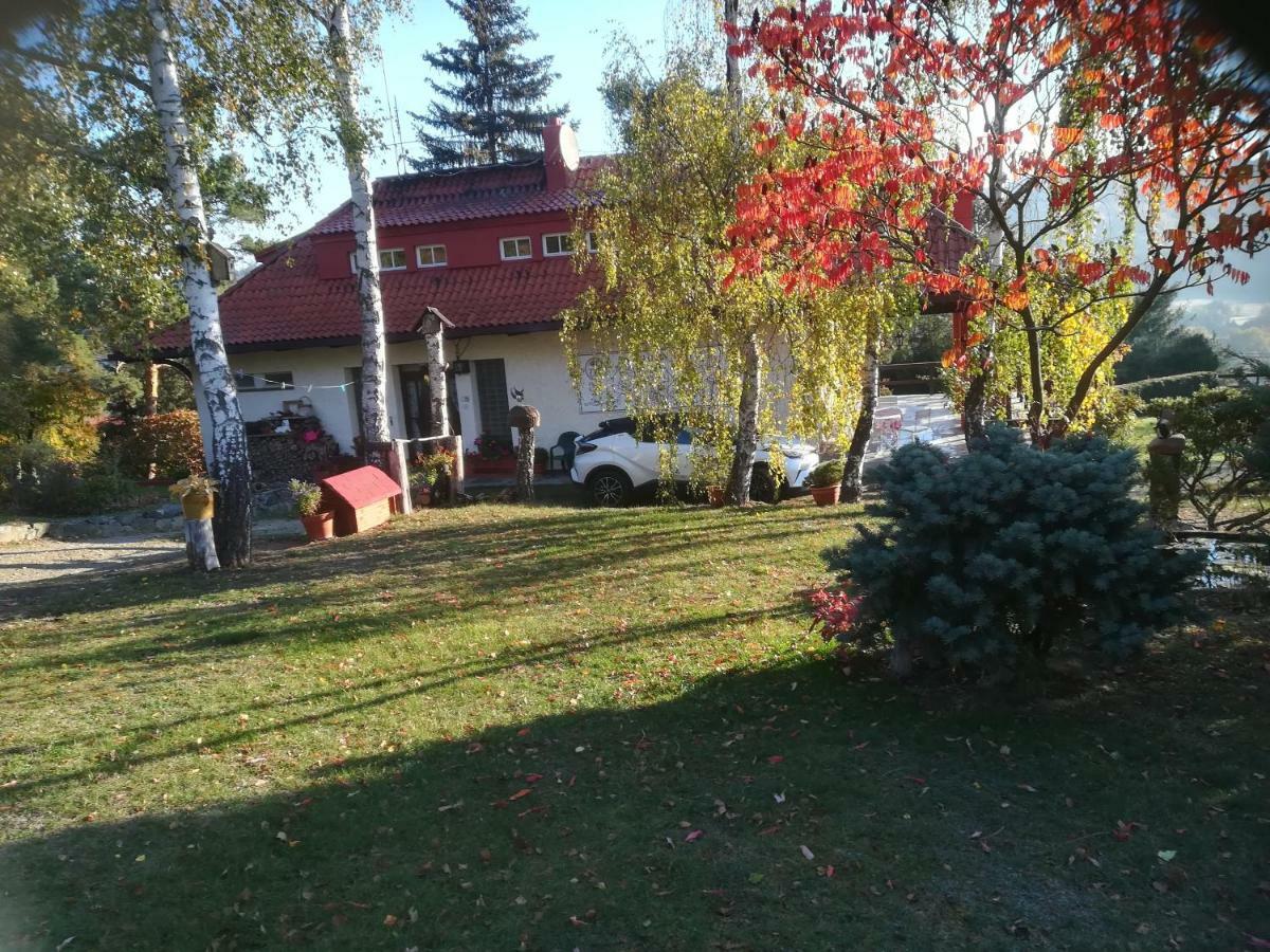 Villa Blanka Horní Podkozí Eksteriør billede